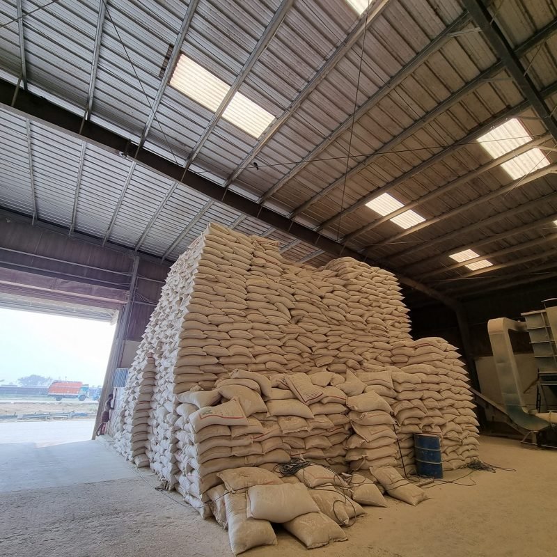 20210311_103611-scaled